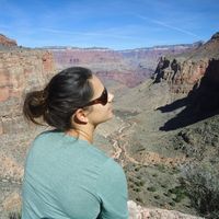 Paula Gibim Pacheco的照片