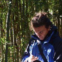 Juan David Yepes的照片