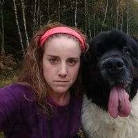 Cindy Galothy的照片