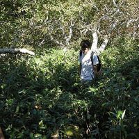 Travis Johnson的照片