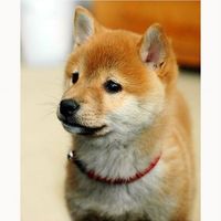 Fotos von Denise Wong