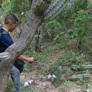 CleanPlanet Day Santa Marta's picture