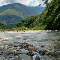 Carolina Carito's Photo