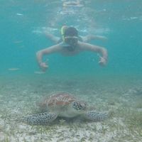 Guillaume Carboni's Photo