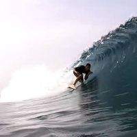 Miguel P. Henares的照片