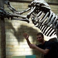 Mirosław Minicki's Photo