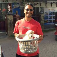 Zdjęcia użytkownika Yasendra Amerasinghe