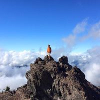 Le foto di Quinn Rohlf