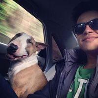 Fotos von Johan Alfonso