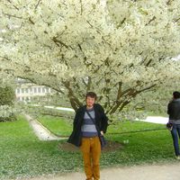 Guilherme Agostini Cruz的照片