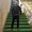 Mohamed Ellaithy's Photo