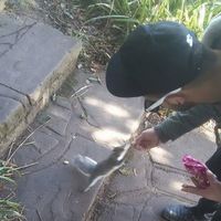 Fotos von Luke Vassallo