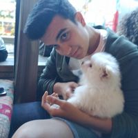 Photos de Burak Kaya