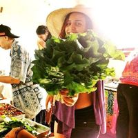 Julia Hettenhausen's Photo