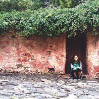 Amanda Karam的照片