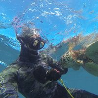 Jonaffer Molina的照片