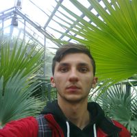 Ovidiu Georgescu的照片