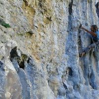 Linus Peters's Photo