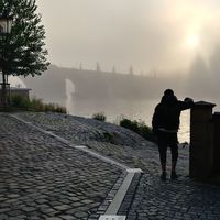 Hernan Diaz的照片