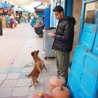 Hicham Dawsi's Photo