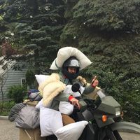 Connor Boris的照片