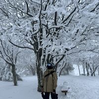 David Farigua Dueñas's Photo