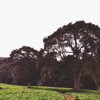 Josue Vargas's Photo