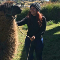 Фотографии пользователя Lizbeth Luca