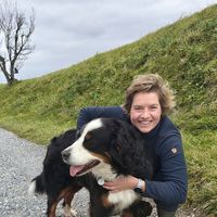 Victoria DB的照片