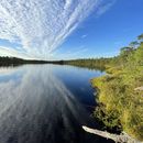 Hiking Plan:  Lake Pühajärv Loop 🥾's picture