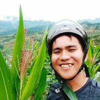 Triều Ryan的照片