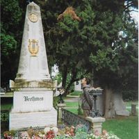 Rémi Biégnon's Photo