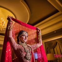 Wedding Photography Hub的照片