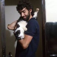 Gustavo Benevenuto's Photo