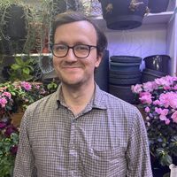 Fotos de Dan Albertson