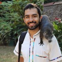 Fotos de Ernesto Gallardo