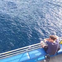 Michal Nosarzewski的照片