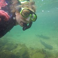 Fotos de Pauline Zimmermann