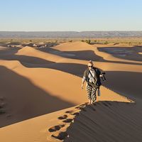 Фотографии пользователя Fredi  VD