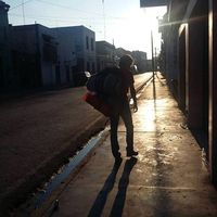 Le foto di Alkimista Del Sol