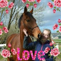 Photos de Linda van Gorkum