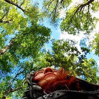 Karina Gomez的照片