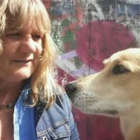 Susanne Dommes's Photo