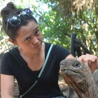 Sarah Shimizu's Photo