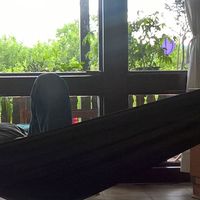 stefan gründer's Photo