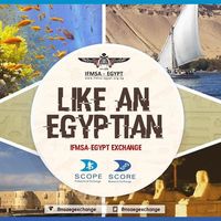 Mohammad Essam Selim's Photo