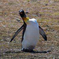 Aurélia Hanne的照片