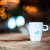 Oussama Hamidi's Photo