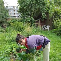 Irene Katsaros's Photo