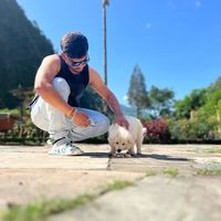 Shiv Rider Tripple S's Photo